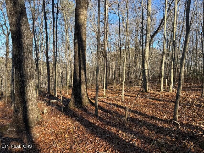 5 - 0 Deerhead Rd, Dunlap, TN 37327