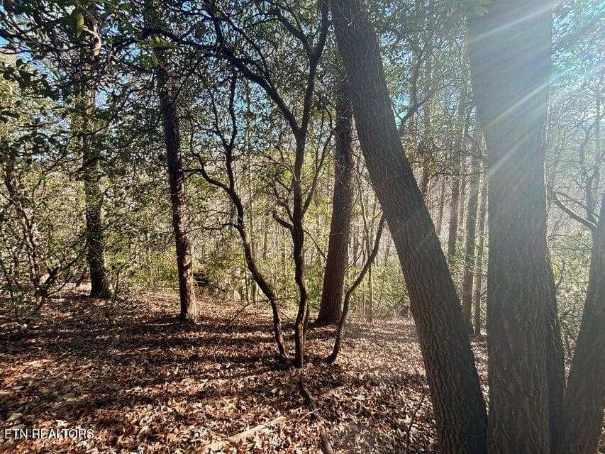 6 - 0 Deerhead Rd, Dunlap, TN 37327