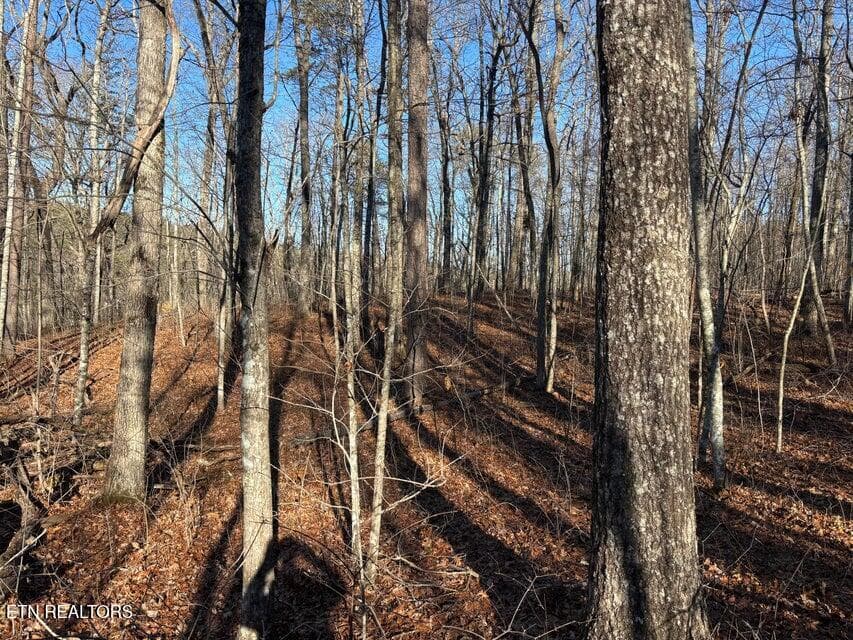 7 - 0 Deerhead Rd, Dunlap, TN 37327