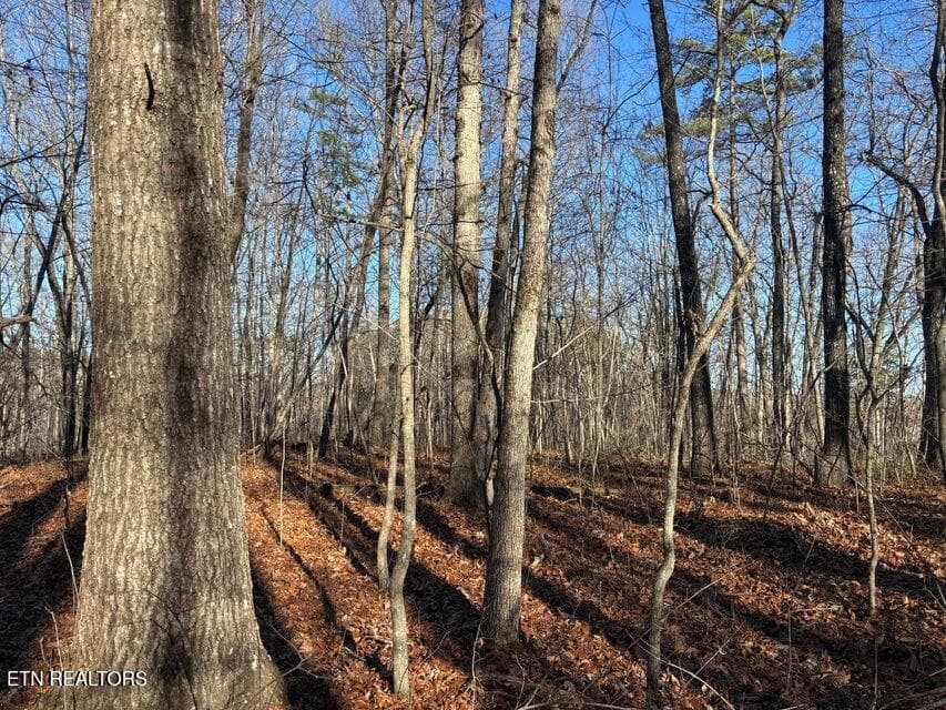 8 - 0 Deerhead Rd, Dunlap, TN 37327