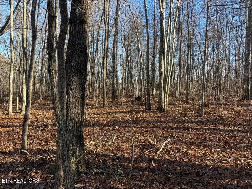 9 - 0 Deerhead Rd, Dunlap, TN 37327