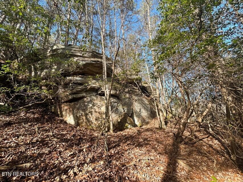 10 - 0 Deerhead Rd, Dunlap, TN 37327
