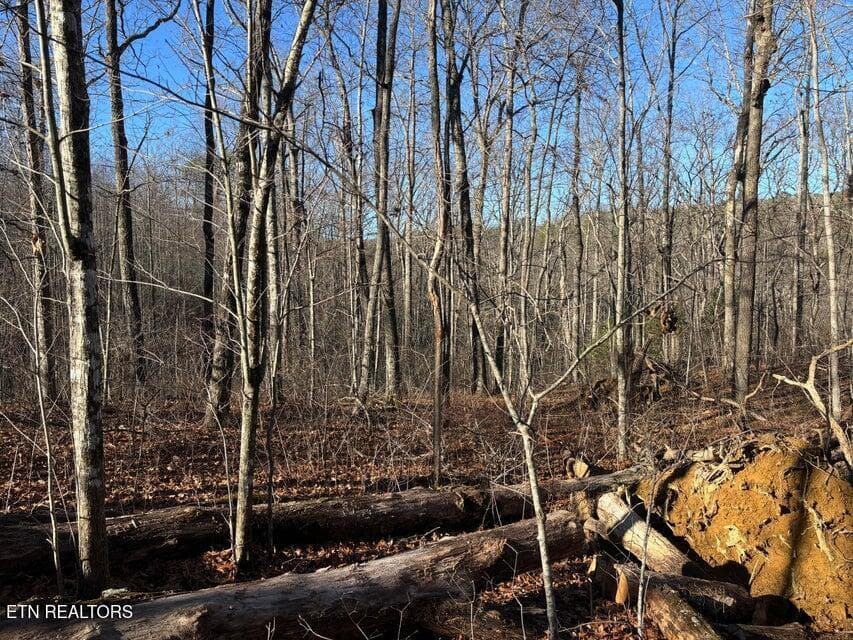 11 - 0 Deerhead Rd, Dunlap, TN 37327