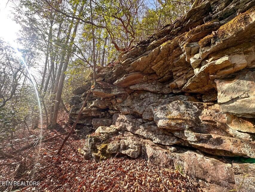 12 - 0 Deerhead Rd, Dunlap, TN 37327