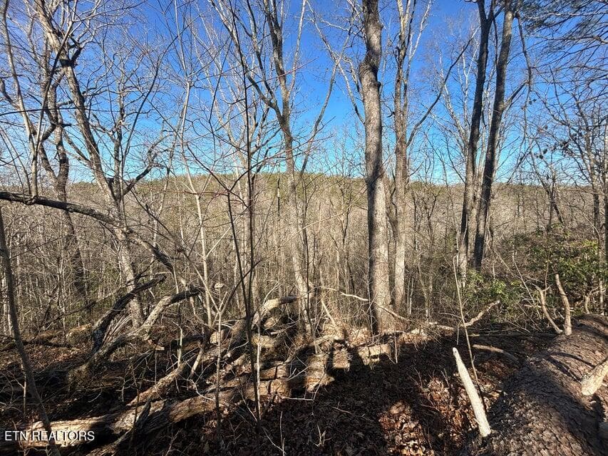 13 - 0 Deerhead Rd, Dunlap, TN 37327