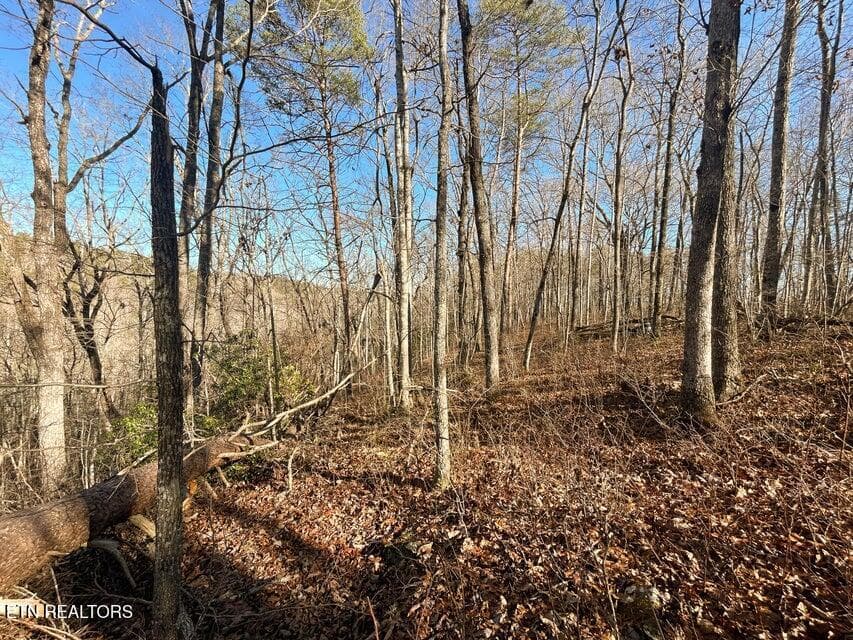 14 - 0 Deerhead Rd, Dunlap, TN 37327