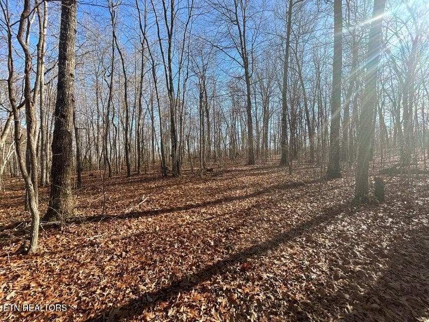 15 - 0 Deerhead Rd, Dunlap, TN 37327