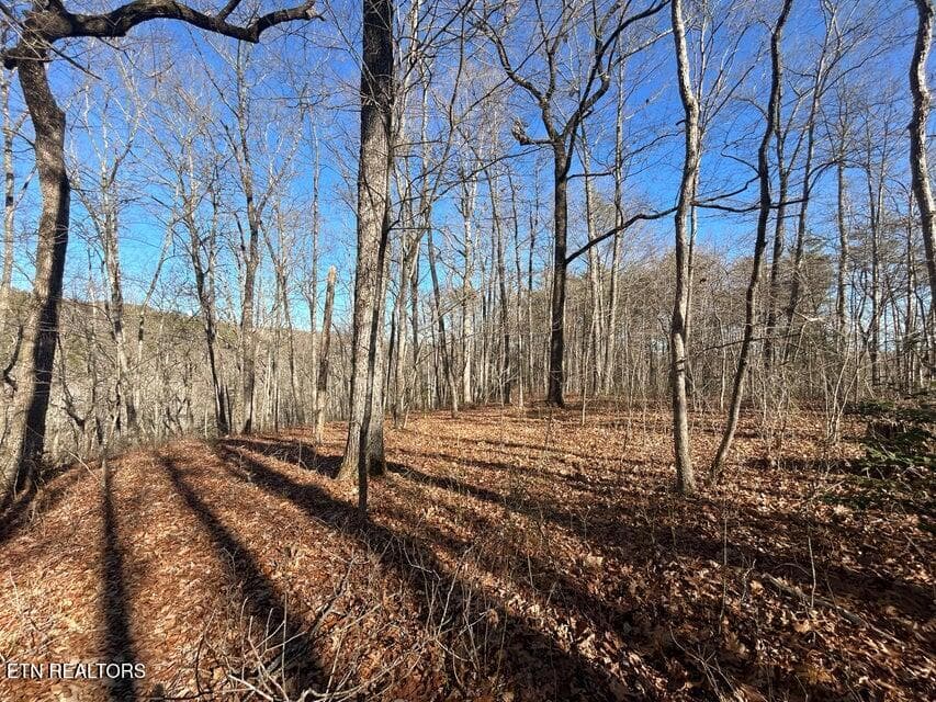16 - 0 Deerhead Rd, Dunlap, TN 37327