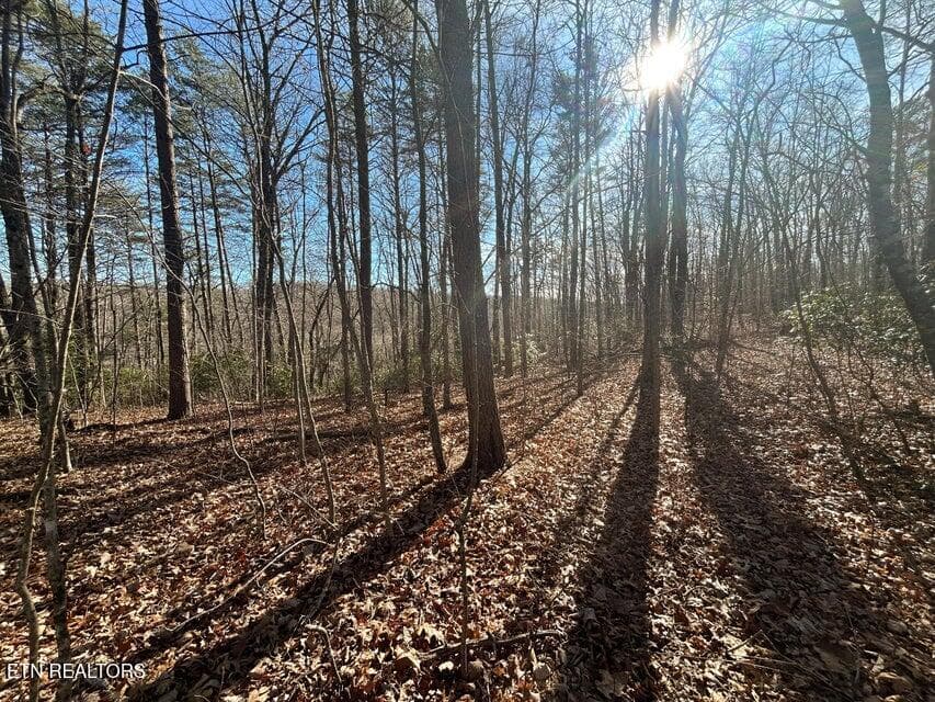 17 - 0 Deerhead Rd, Dunlap, TN 37327