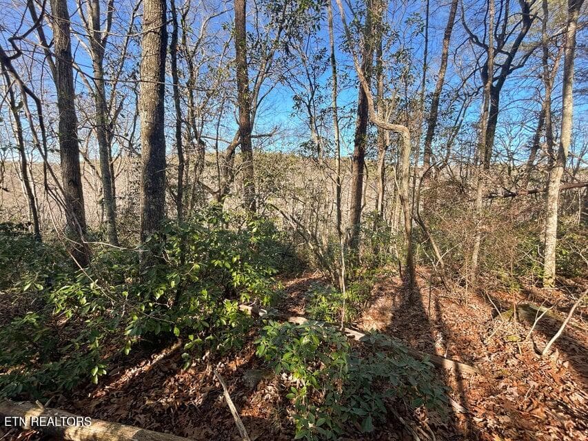 18 - 0 Deerhead Rd, Dunlap, TN 37327