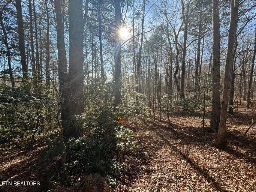 19 - 0 Deerhead Rd, Dunlap, TN 37327