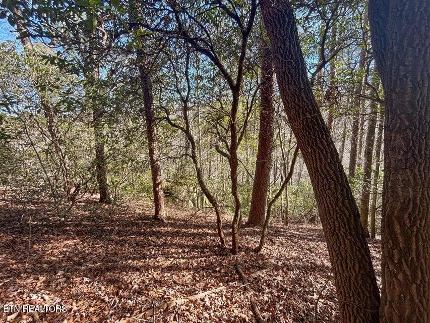 20 - 0 Deerhead Rd, Dunlap, TN 37327