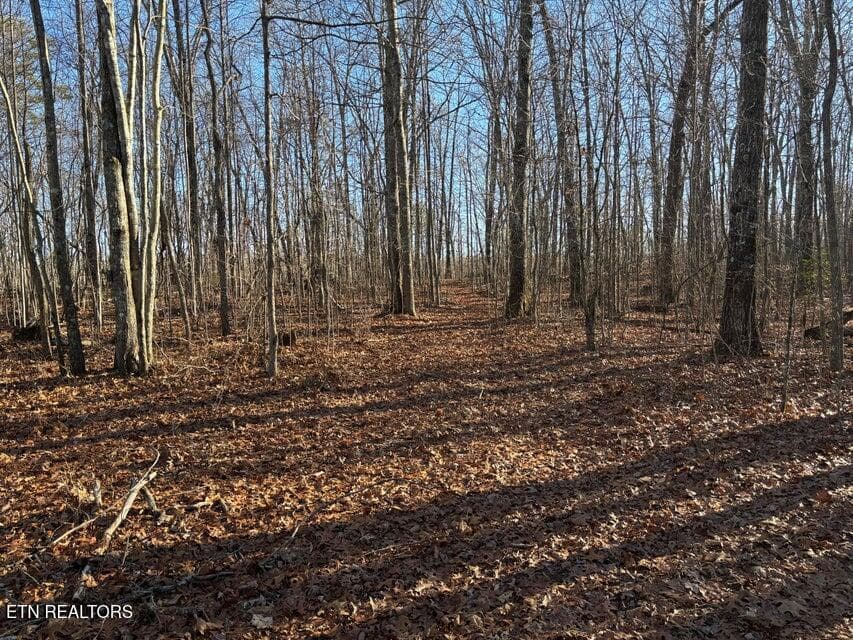 21 - 0 Deerhead Rd, Dunlap, TN 37327
