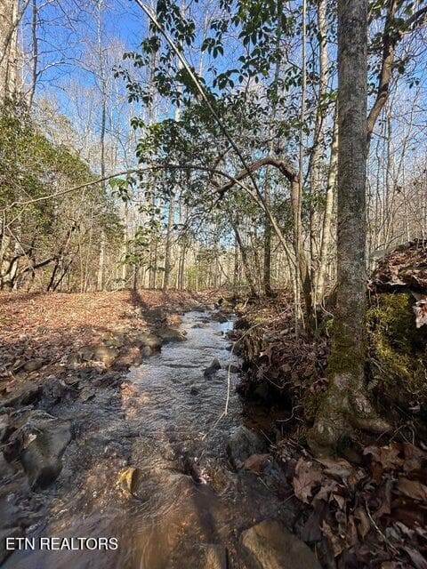 22 - 0 Deerhead Rd, Dunlap, TN 37327