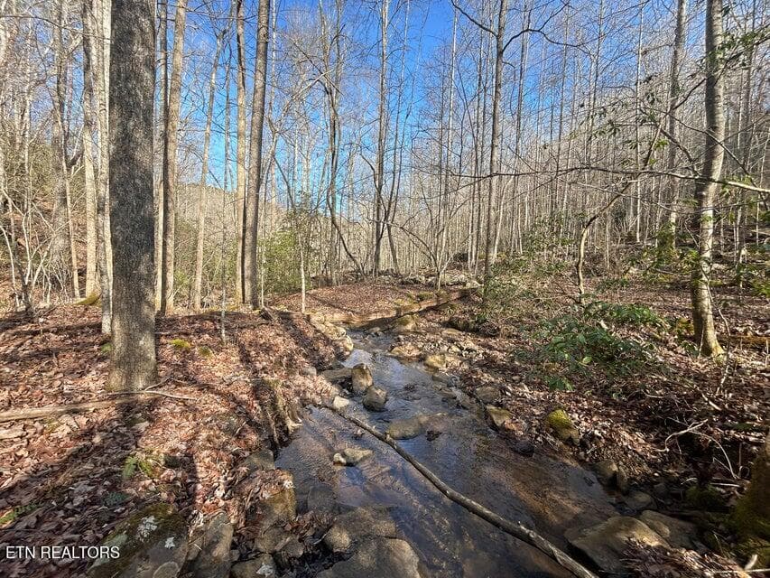 23 - 0 Deerhead Rd, Dunlap, TN 37327