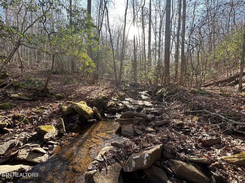 24 - 0 Deerhead Rd, Dunlap, TN 37327