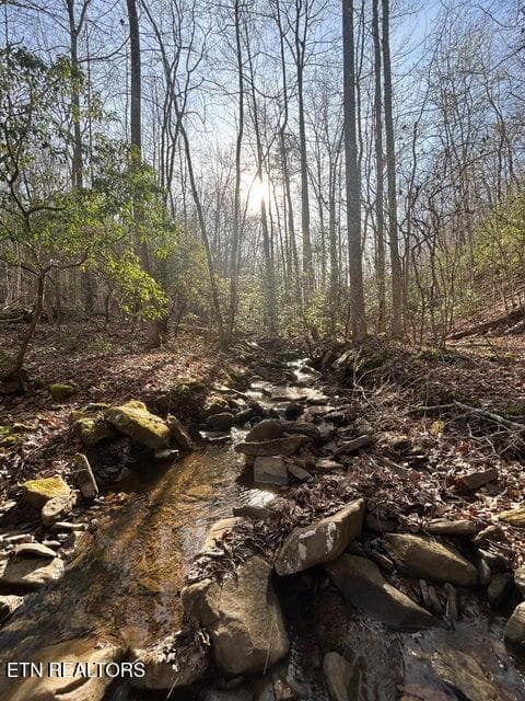25 - 0 Deerhead Rd, Dunlap, TN 37327