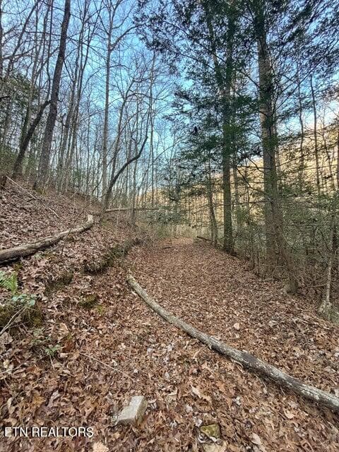 27 - 0 Deerhead Rd, Dunlap, TN 37327