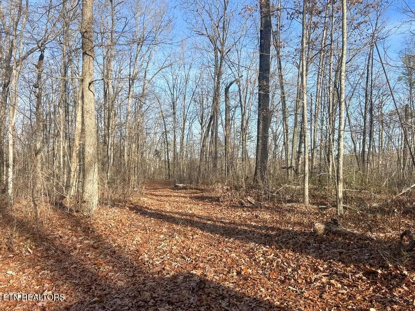 28 - 0 Deerhead Rd, Dunlap, TN 37327