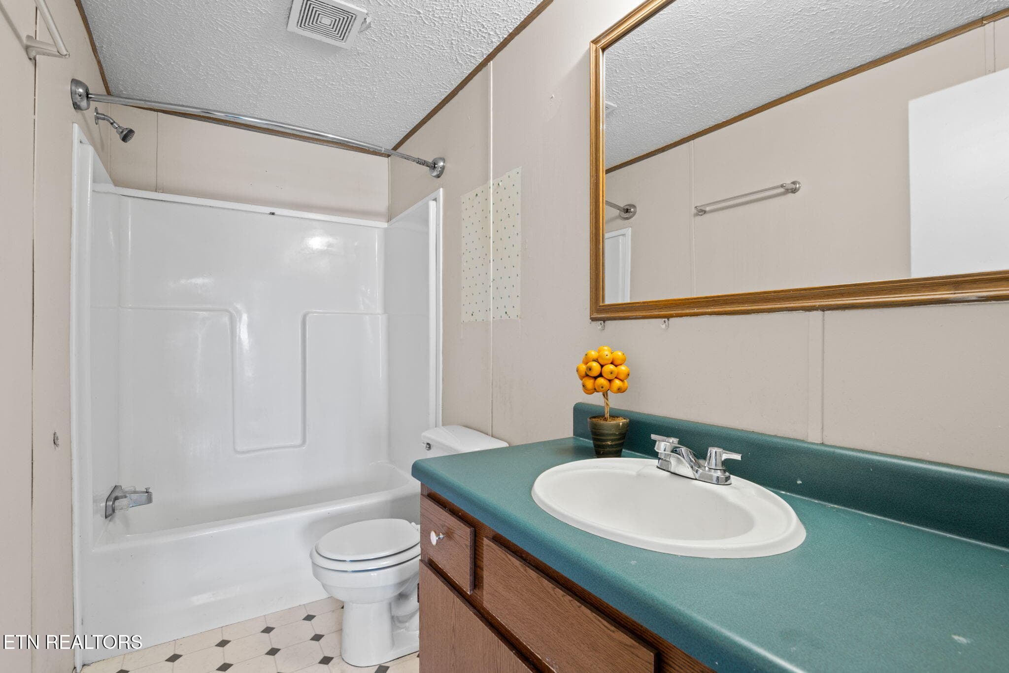 14-web-or-mls-1009 Ridge View-6176 - 1009 Ridge View Rd, Maryville, TN 37801, Maryville