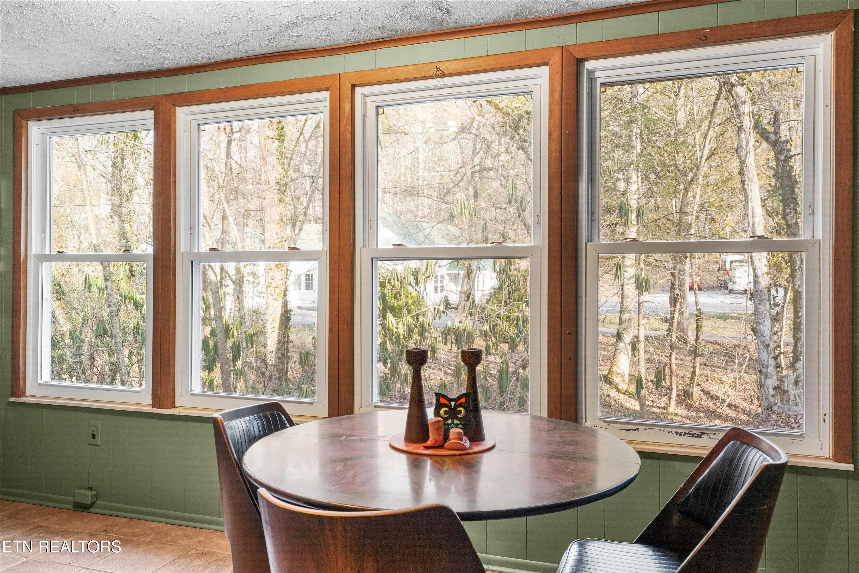 16-4413 E Scenic Dr 11 - 4413 E Scenic Drive, Gatlinburg, TN 37738, Gatlinburg