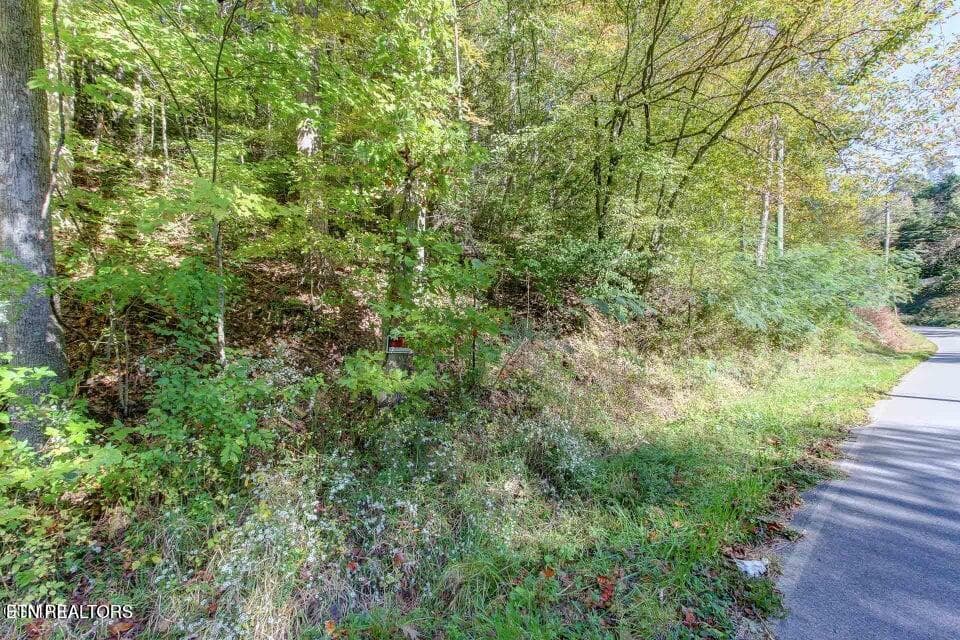 20260123184014900144000000-o - 947 Powdermill Rd, Gatlinburg, TN 37738