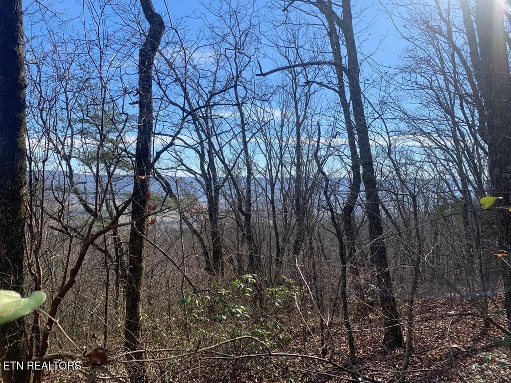 241567_13 - 46A Gray Rock View, Pikeville, TN 37367