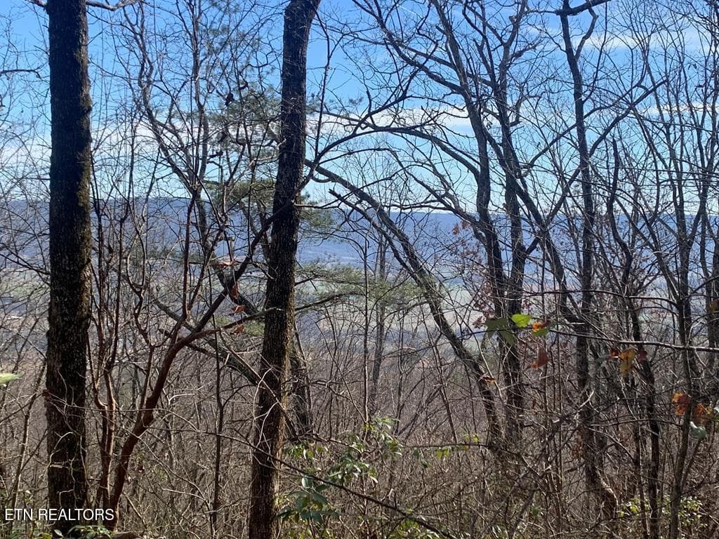 241567_14 - 46A Gray Rock View, Pikeville, TN 37367