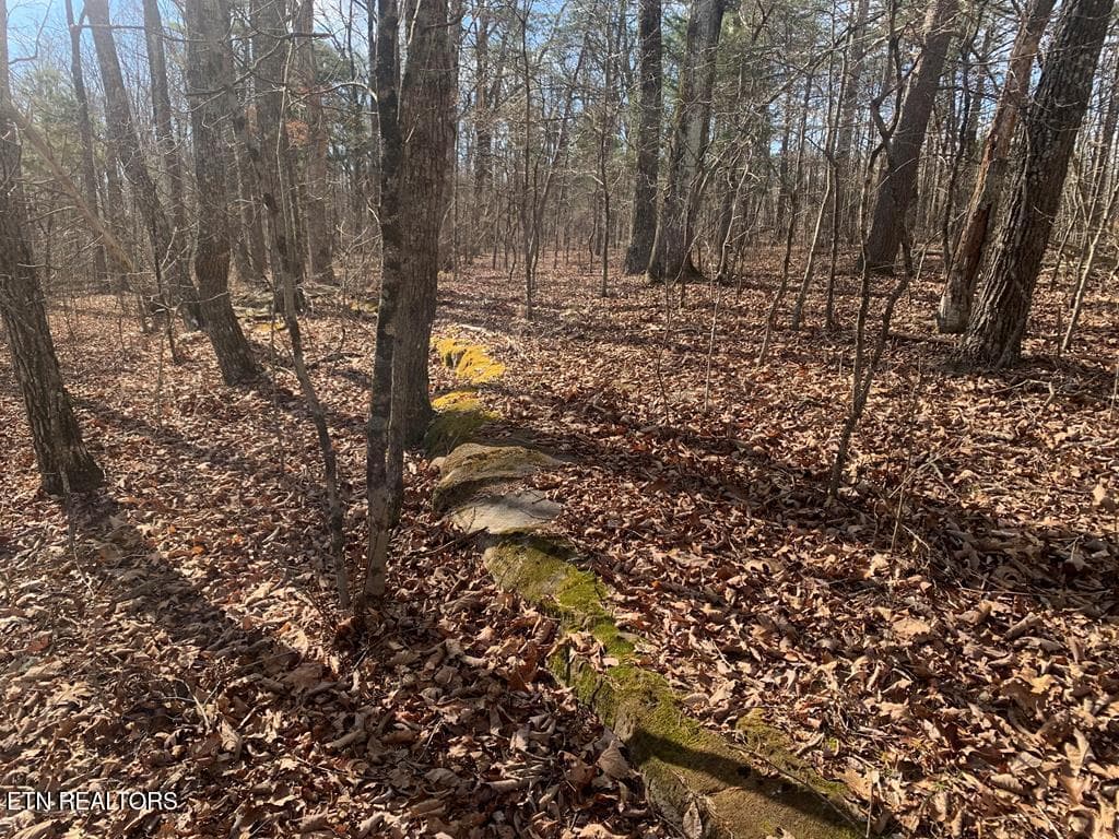 241567_16 - 46A Gray Rock View, Pikeville, TN 37367