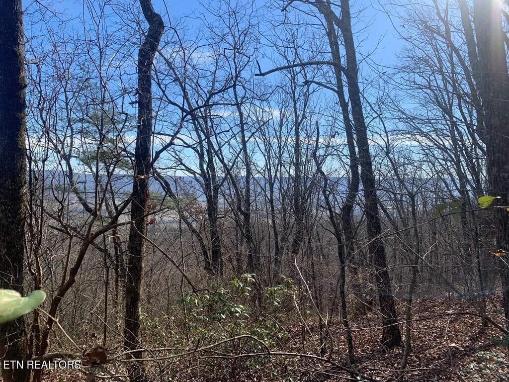 241569_1 - 47A Gray Rock View, Pikeville, TN 37367
