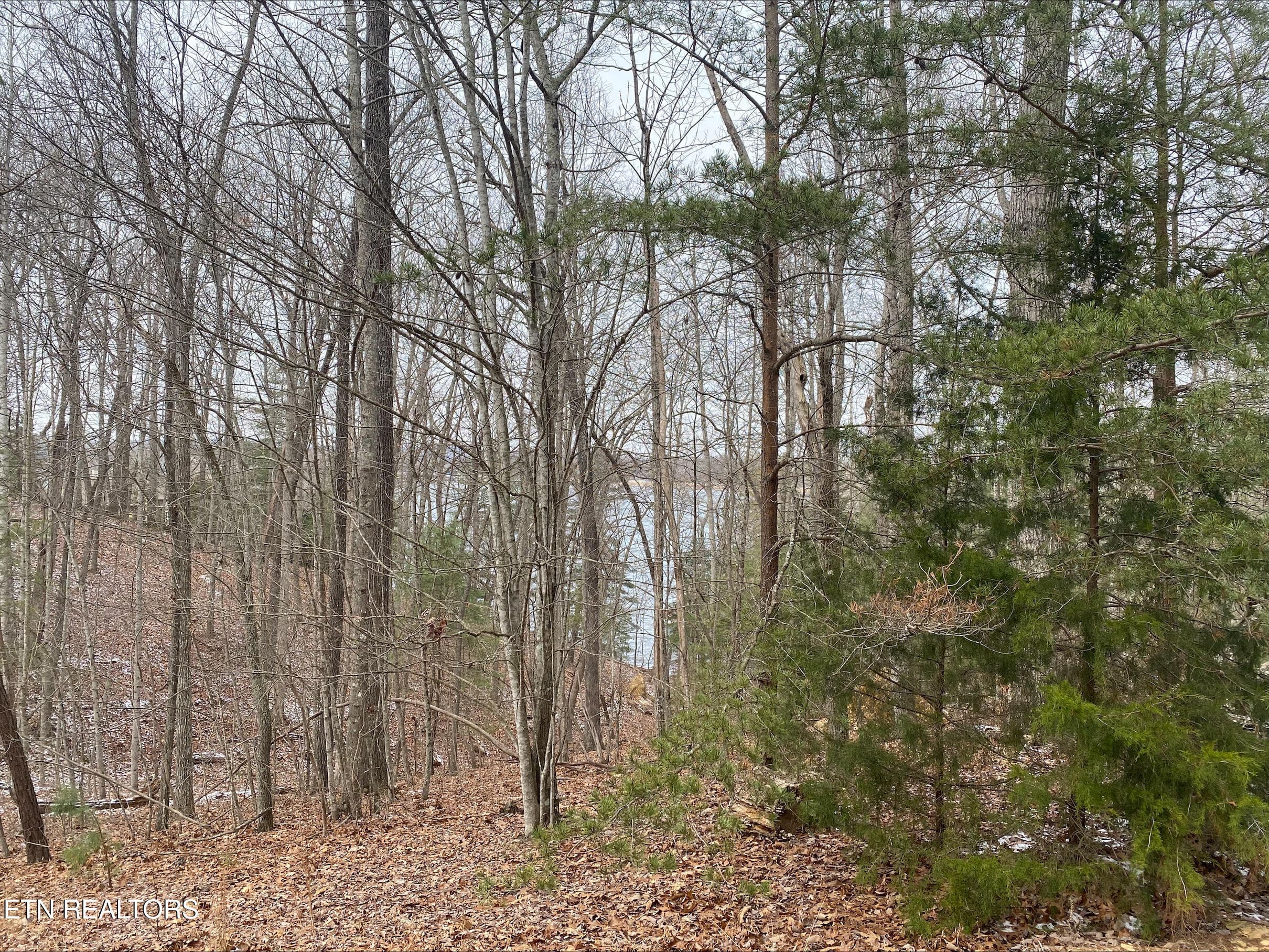 36 Milnor Terrace, Fairfield Glade, TN 38558