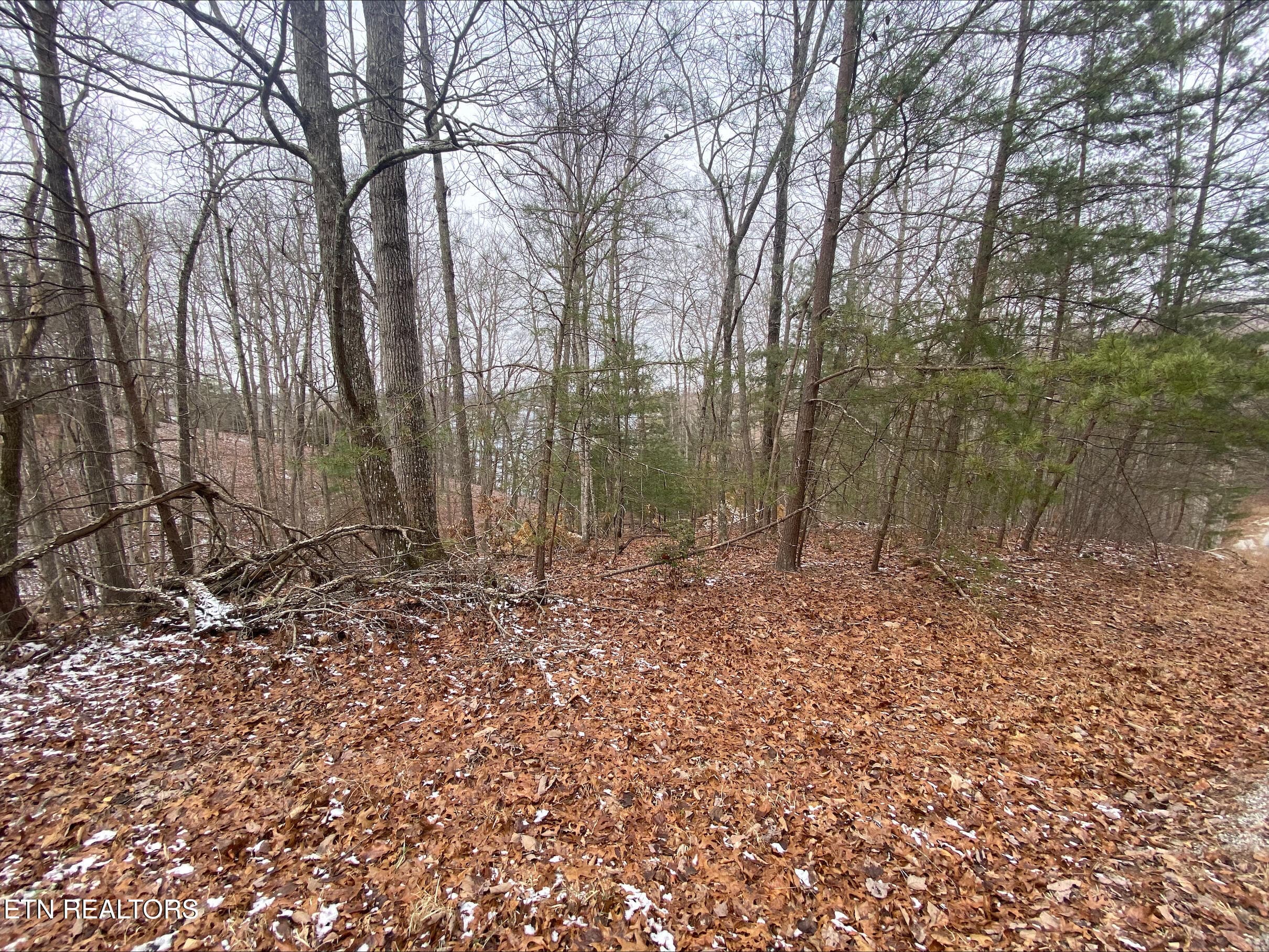processed-B4C52679-9B53-4150-8D55-1CEA8E - 36 Milnor Terrace, Fairfield Glade, TN 38558