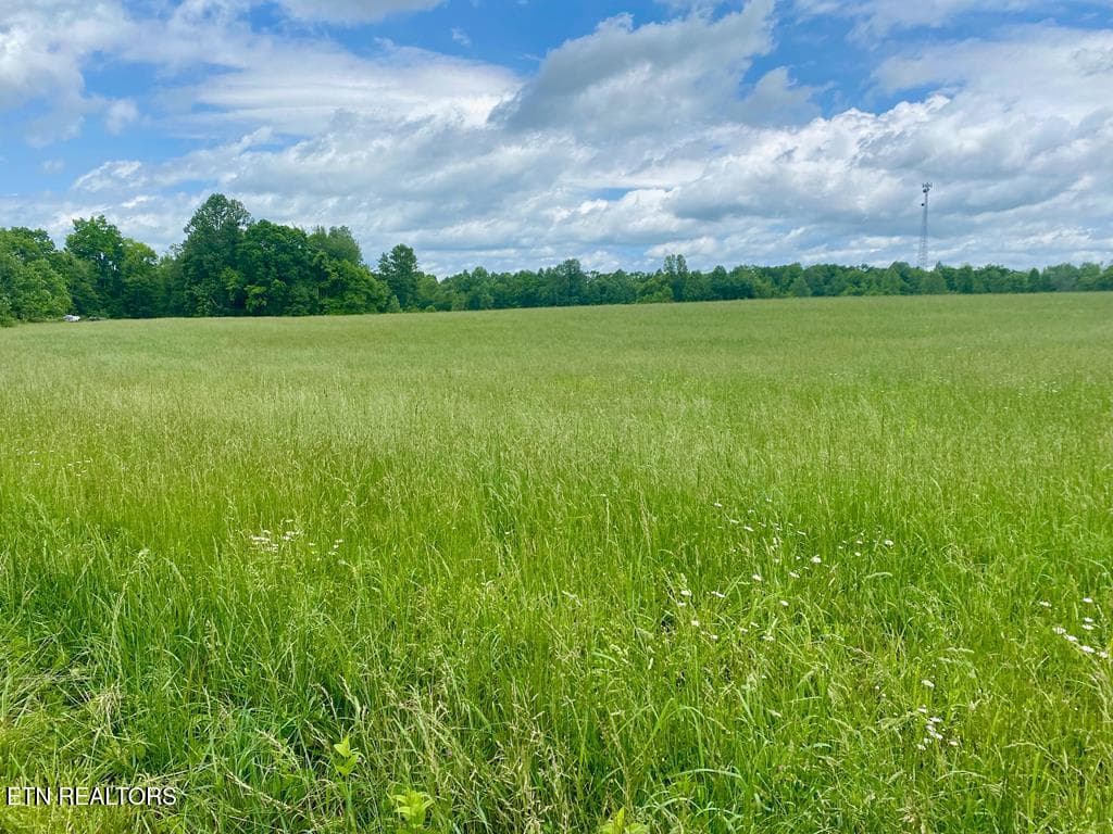 MWRoad land10 - 0 Old Martha Washington Rd, Clarkrange, TN 38553