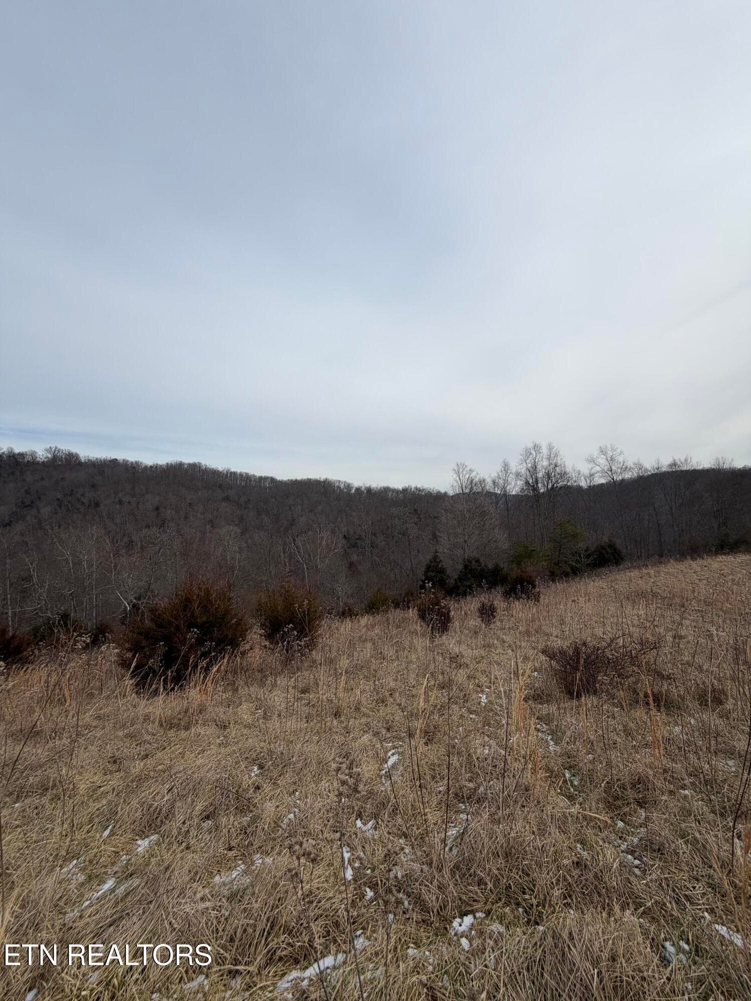 IMG_0213 - TBD RUSSELL RIDGE Rd, Speedwell, TN 37870