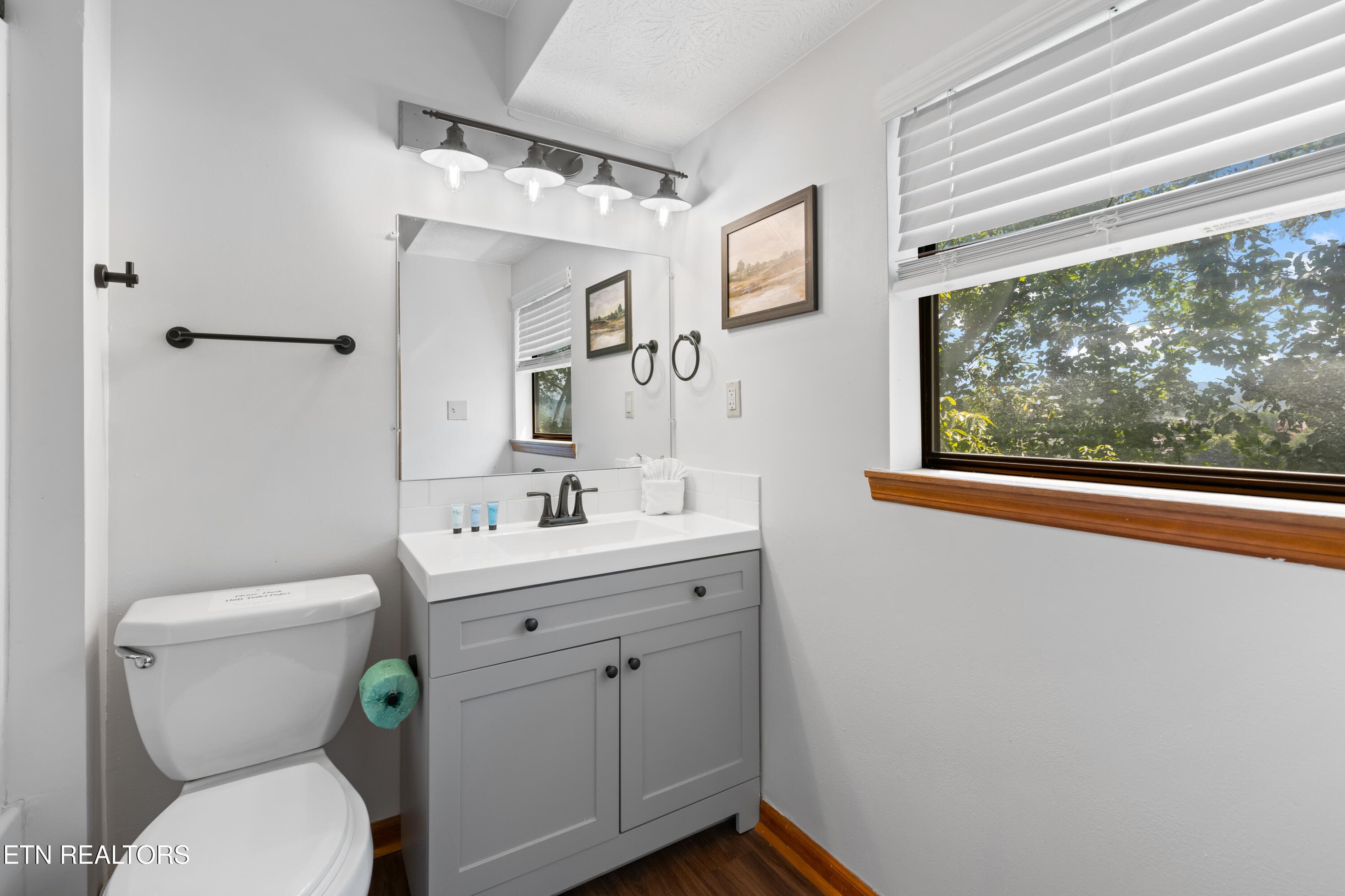 Pinecrest Townhomes - 141-10 - 3729 Plaza Way 141, Pigeon Forge, TN 37863