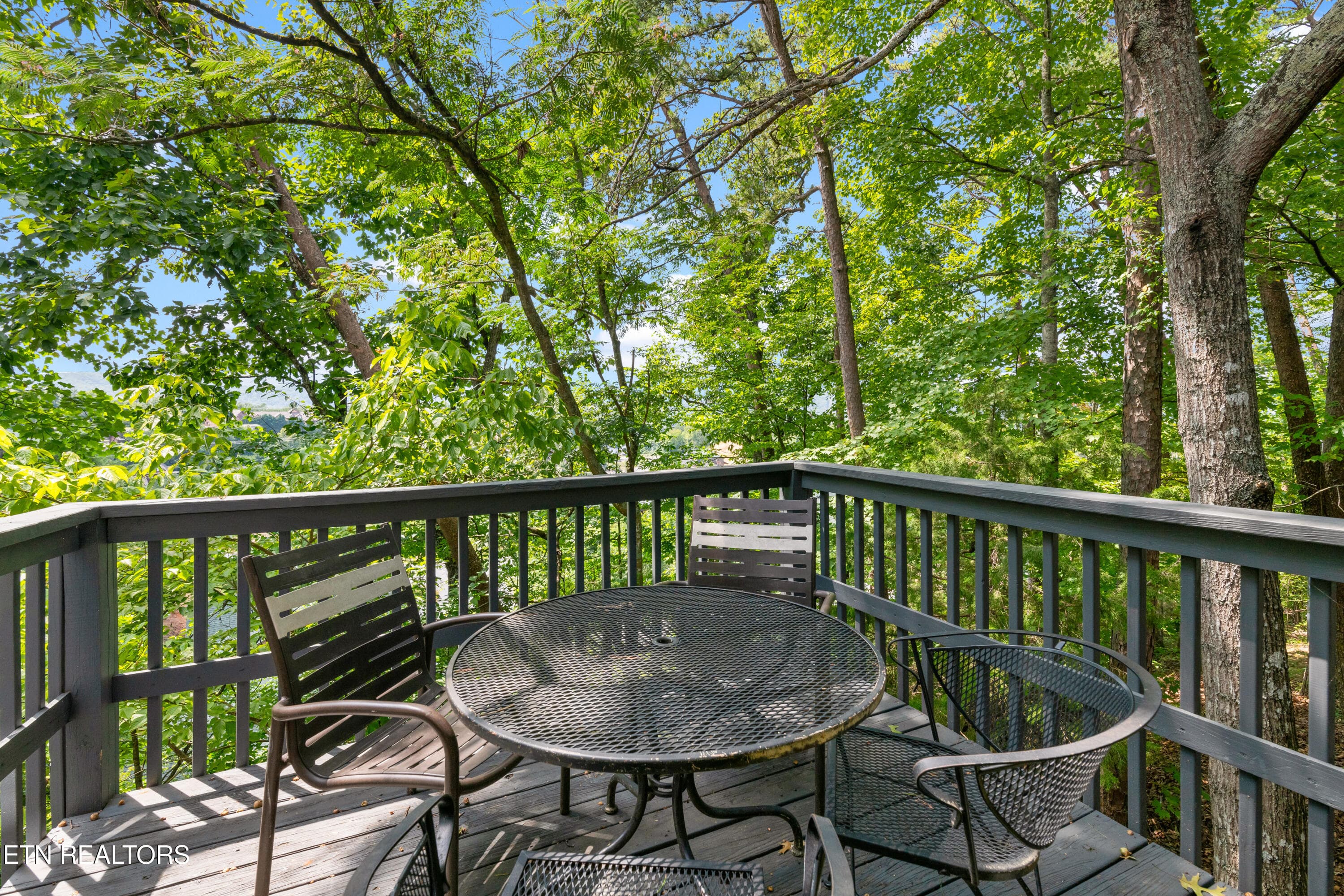 Pinecrest Townhomes - 141-16 - 3729 Plaza Way 141, Pigeon Forge, TN 37863