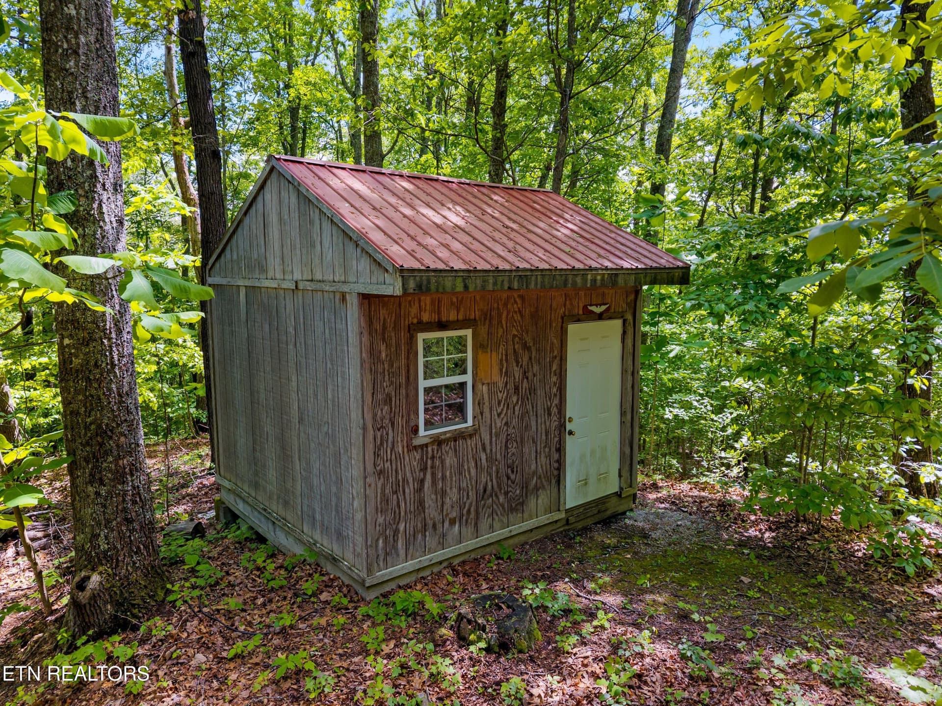 036-236BeechStreet-Sneedville-TN-37869-S - 236 Beech St, Sneedville, TN 37869