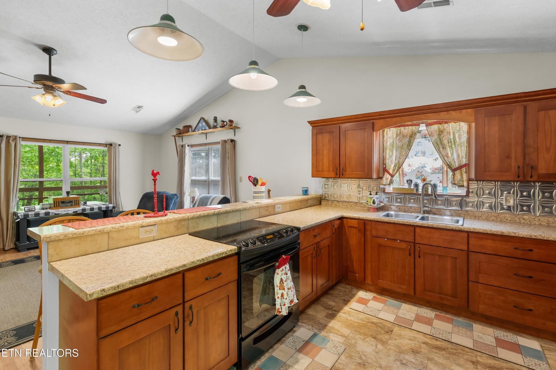 060-236BeechStreet-Sneedville-TN-37869-S - 236 Beech St, Sneedville, TN 37869