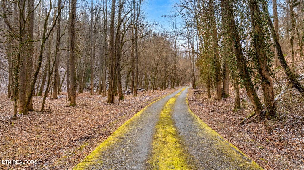 Road to Lower Homesite - 4129 Bear Hollow Loop, Louisville, TN 37777