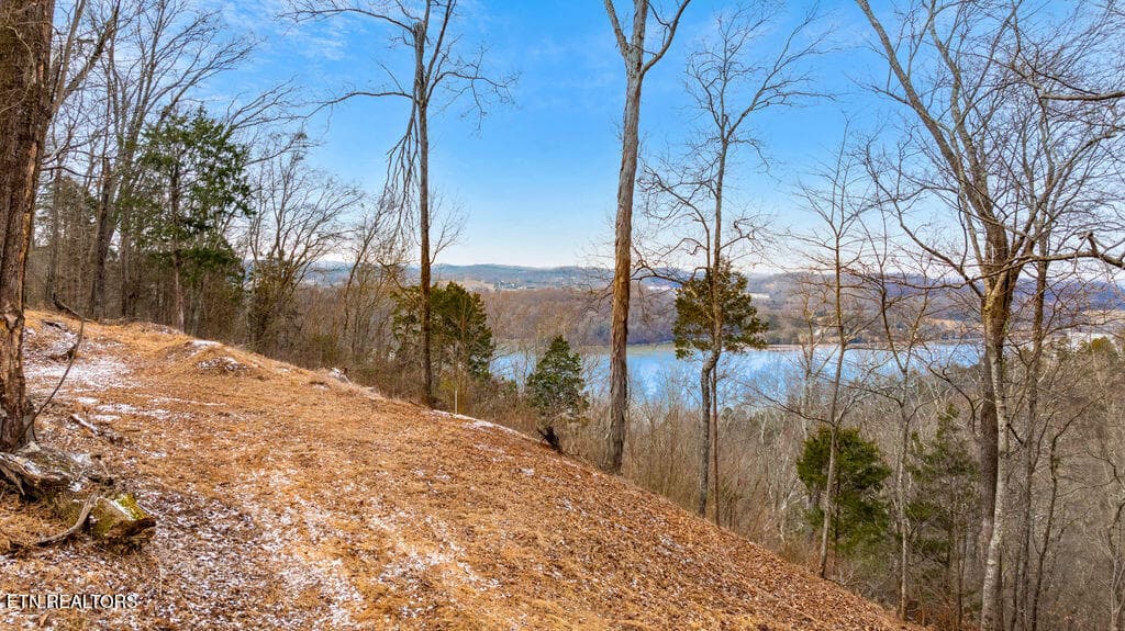 View from Top Homesite - 4129 Bear Hollow Loop, Louisville, TN 37777