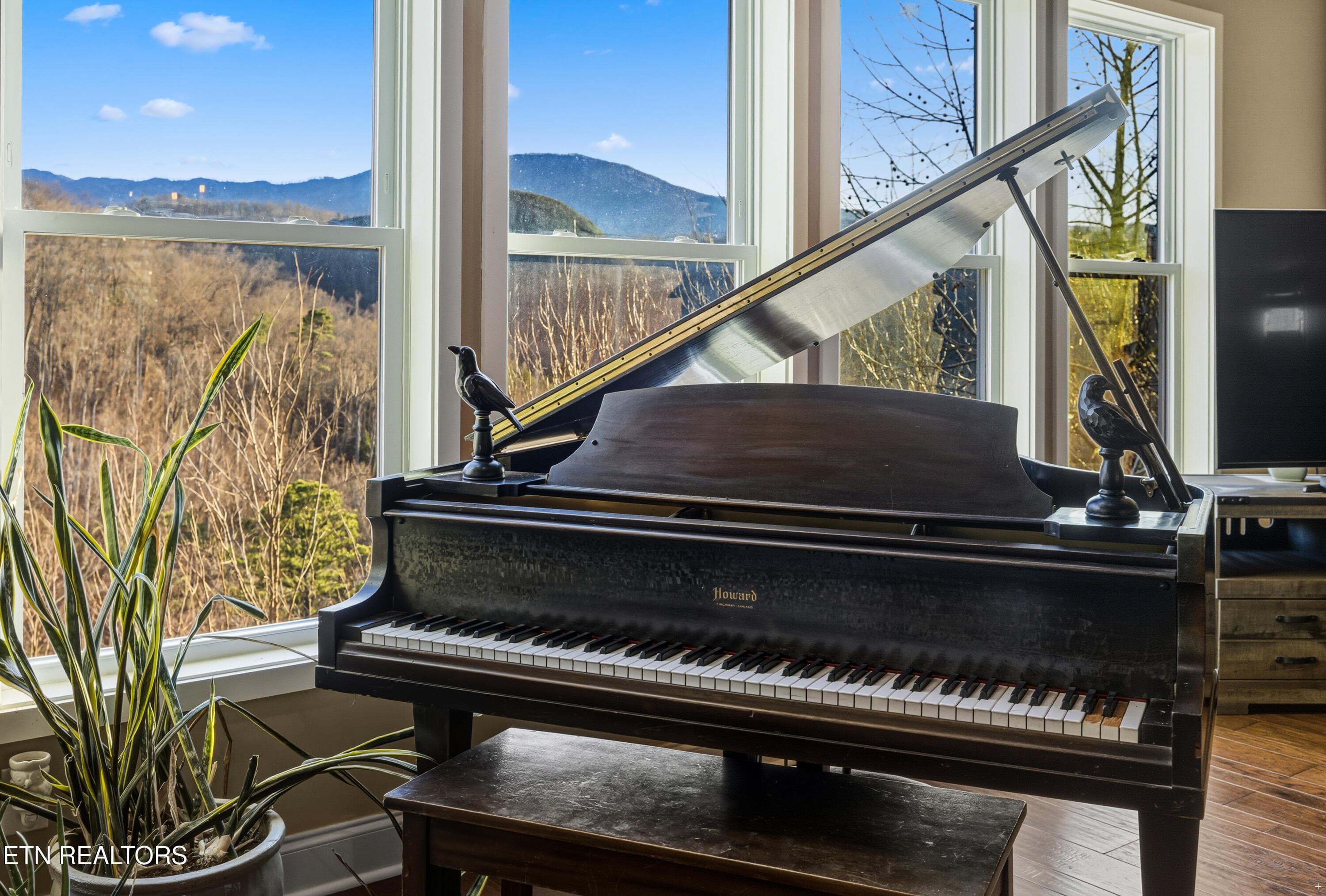 Positive Perceptions-20 - 835 Perry Drive, Gatlinburg, TN 37738, Gatlinburg