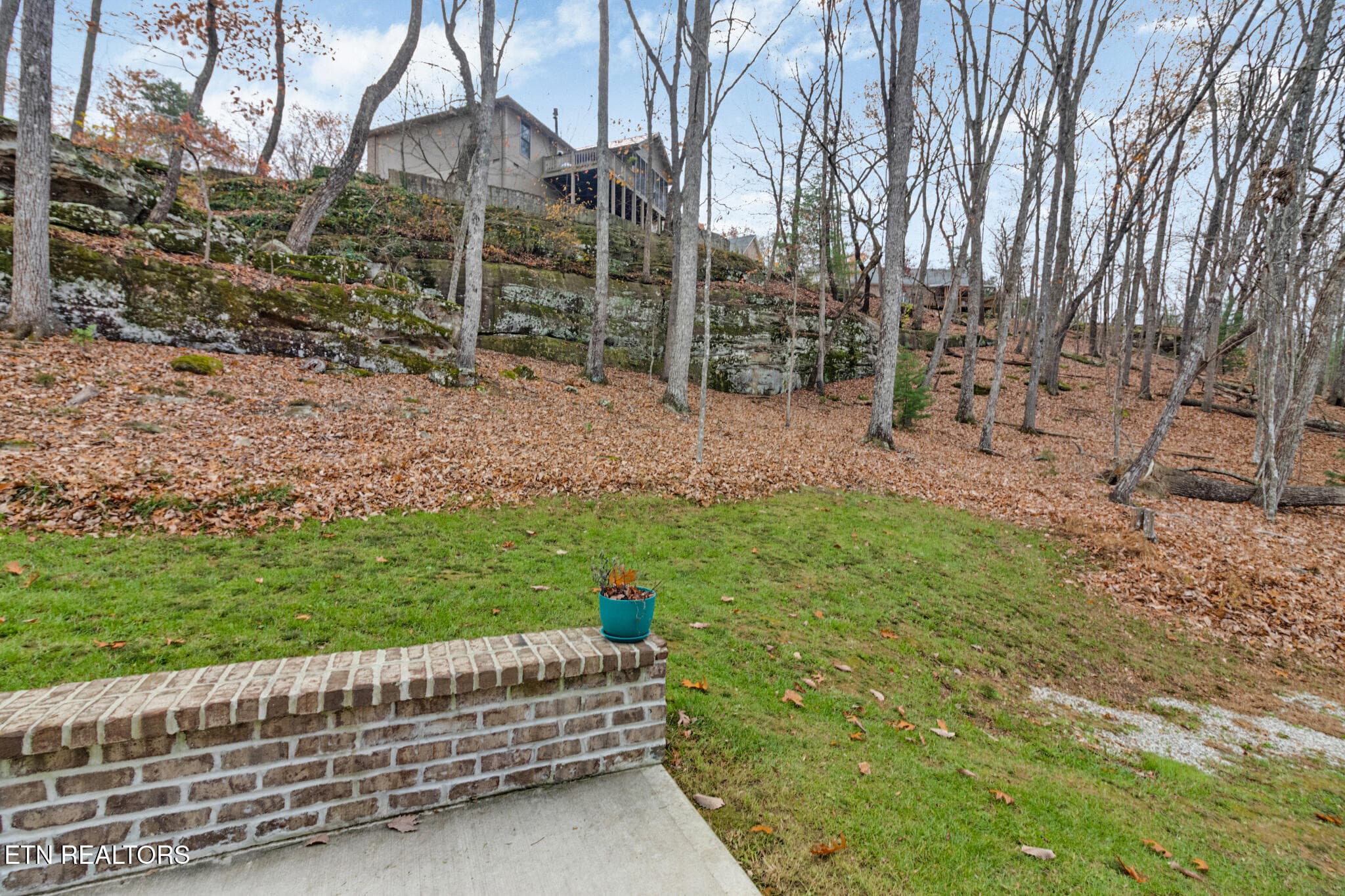 Back yard - 38 Markham Terrace, Crossville, TN 38558