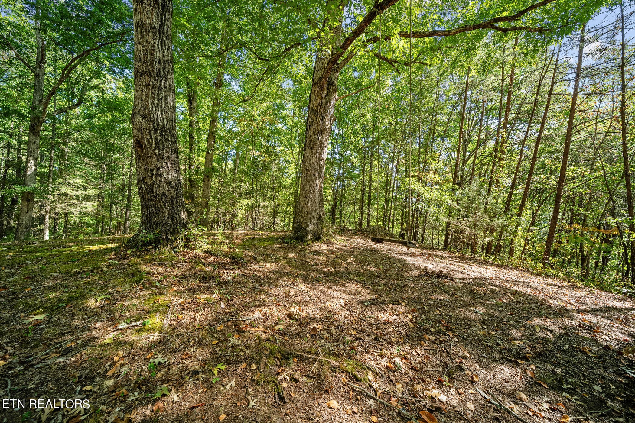 dsc05574 - 2840 Manker Way, Sevierville, TN 37862