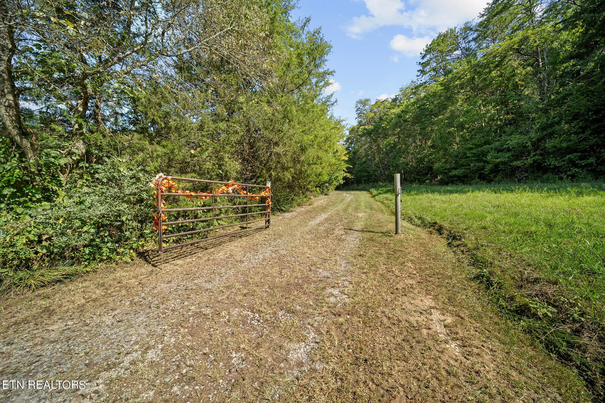 dsc05539 - 2840 Manker Way, Sevierville, TN 37862