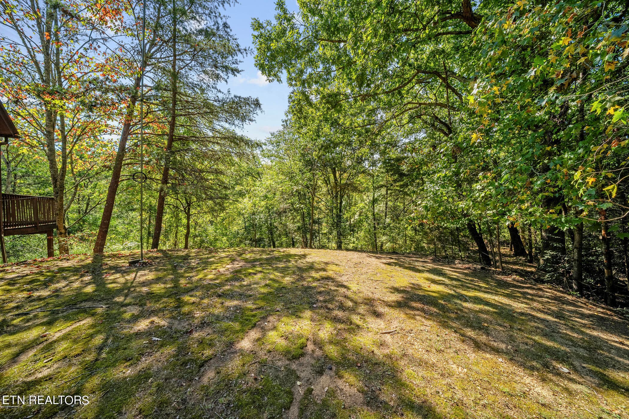 dsc05559 - 2840 Manker Way, Sevierville, TN 37862