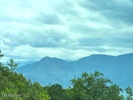 1130SV View 2a - 1130 Ski View Drive UNIT 109, Gatlinburg, TN 37738, Gatlinburg
