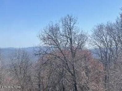 1130SV View 1b - 1130 Ski View Drive UNIT 109, Gatlinburg, TN 37738, Gatlinburg