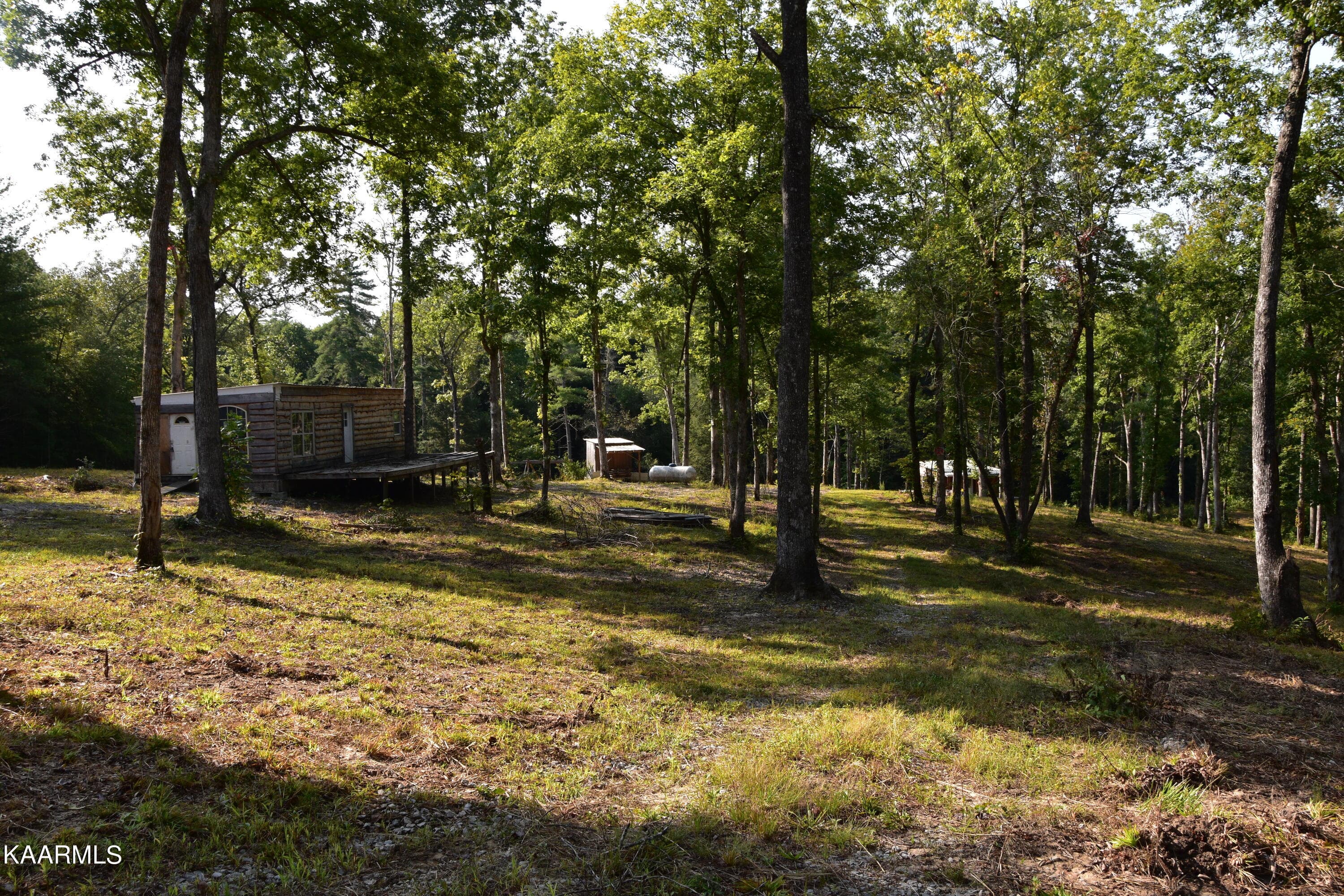 Cabin1 - 566 William Branch Rd, Lancing, TN 37770