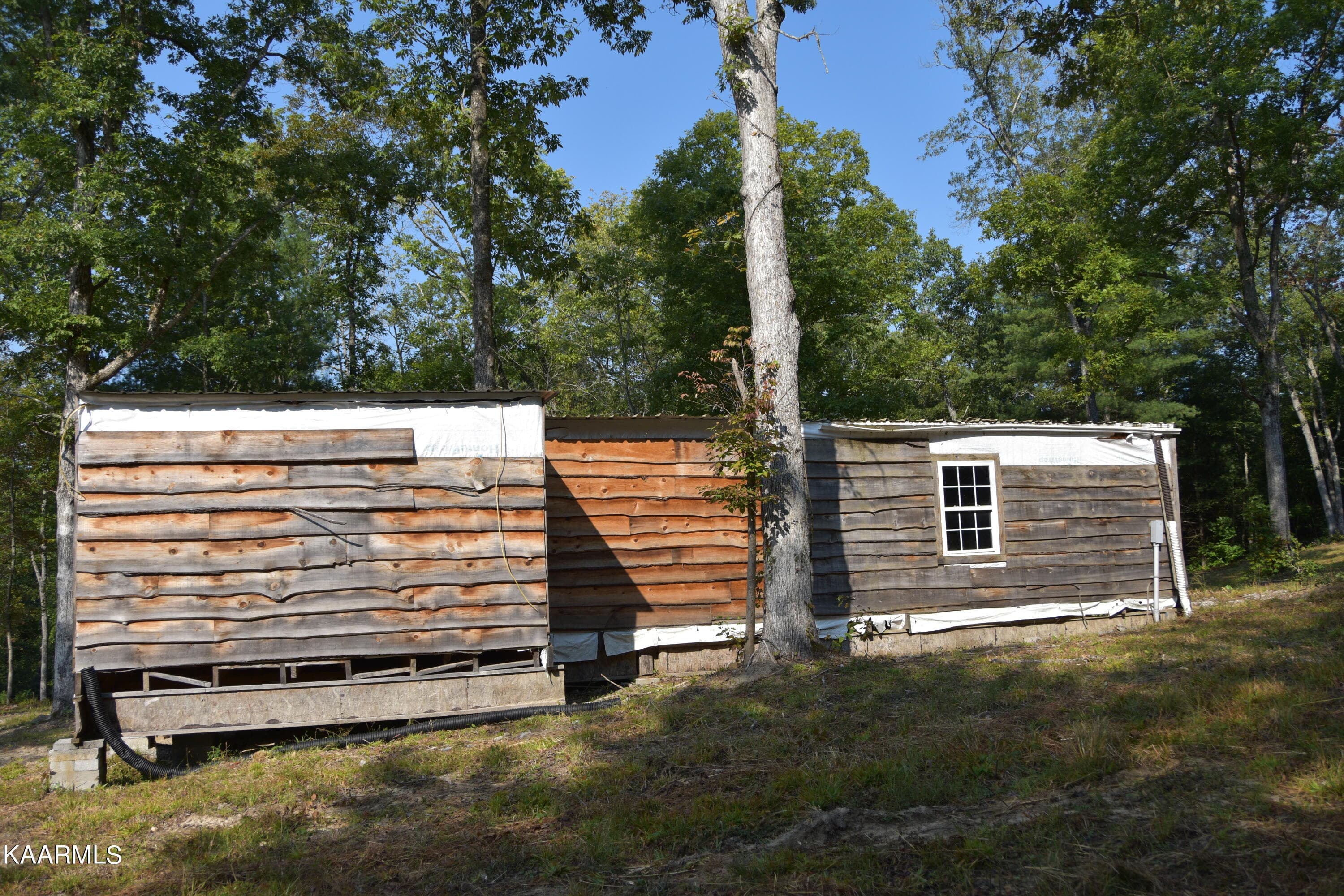 cabin1 - 566 William Branch Rd, Lancing, TN 37770