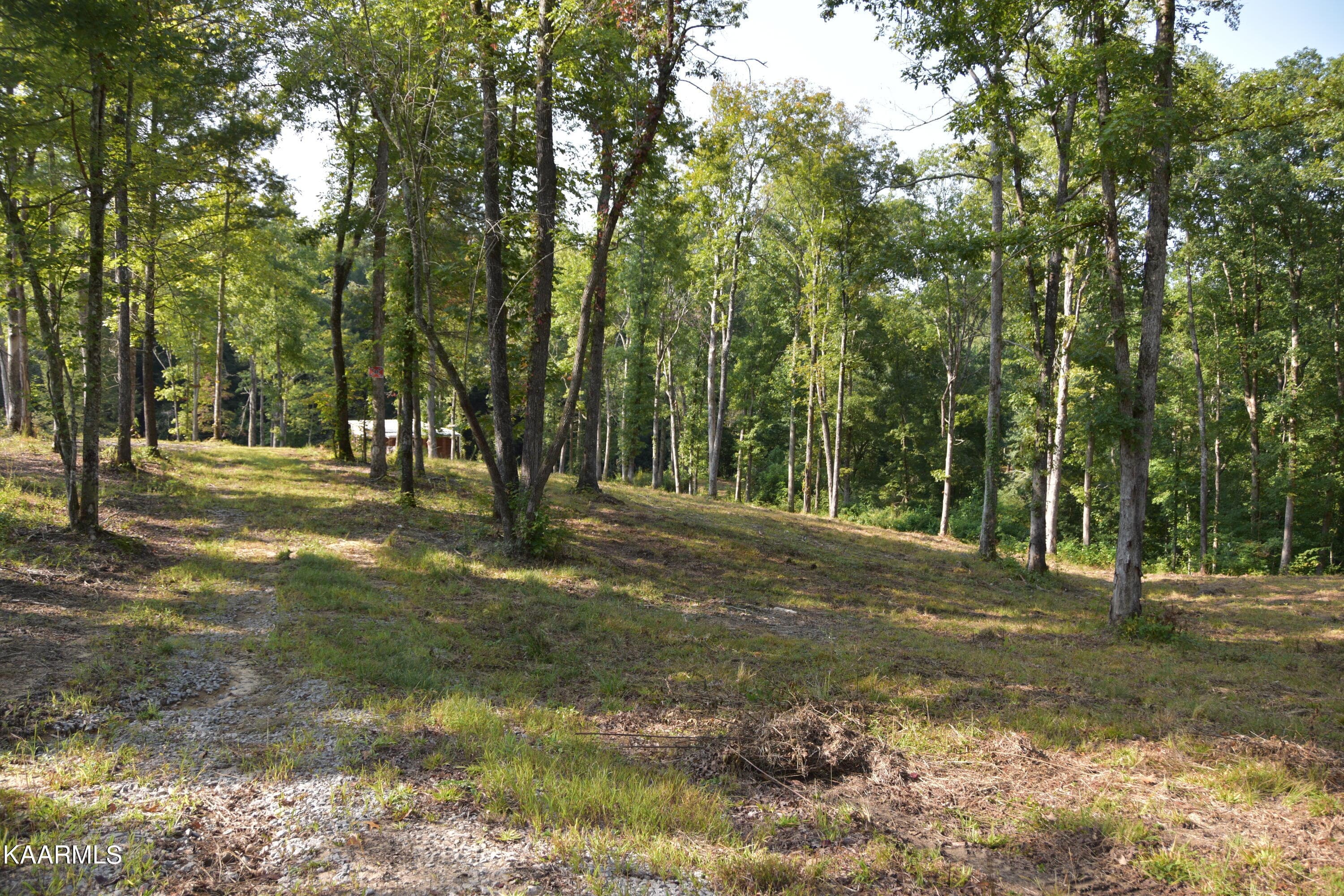 Land - 566 William Branch Rd, Lancing, TN 37770